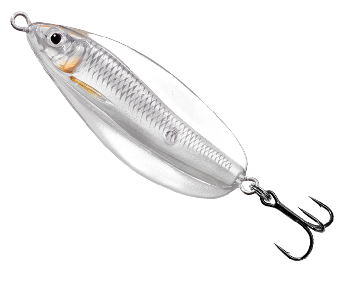 LIVE TARGET ERRATIC SHINER