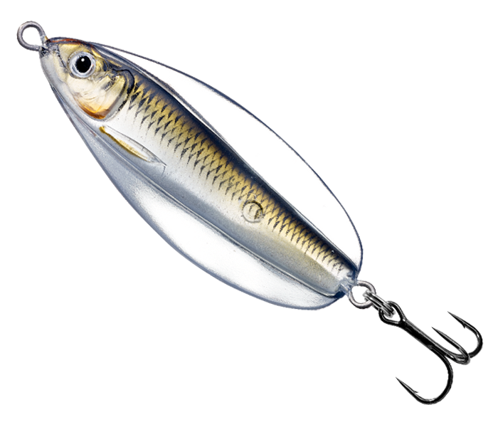 LIVE TARGET ERRATIC SHINER