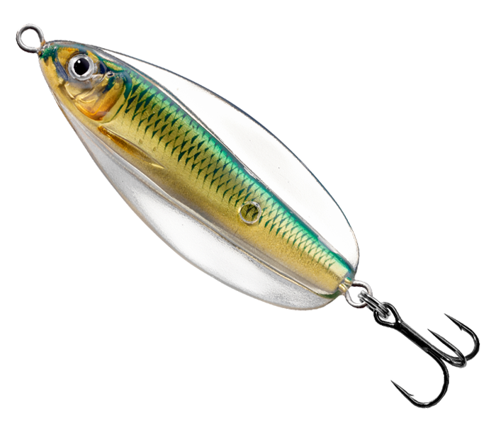 LIVE TARGET ERRATIC SHINER