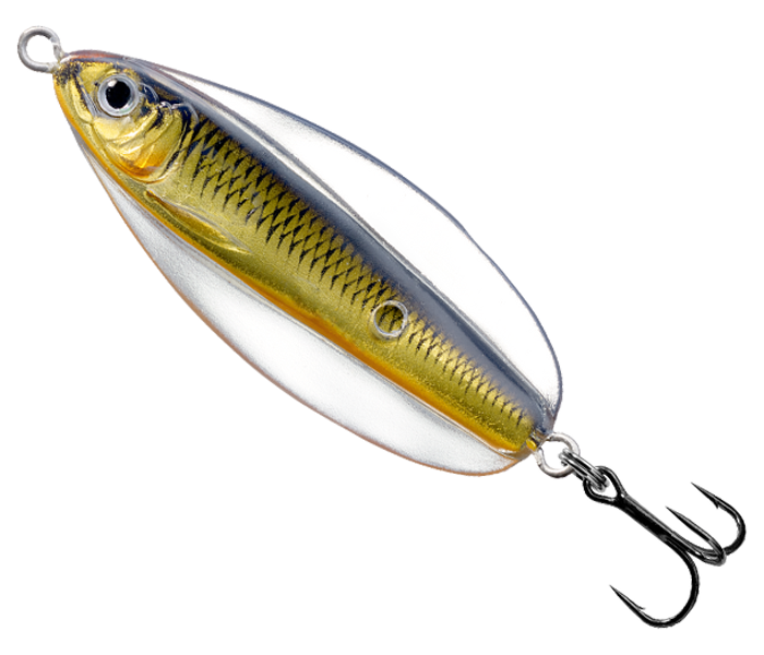 LIVE TARGET ERRATIC SHINER