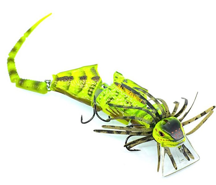 Chasebaits Frillseeker