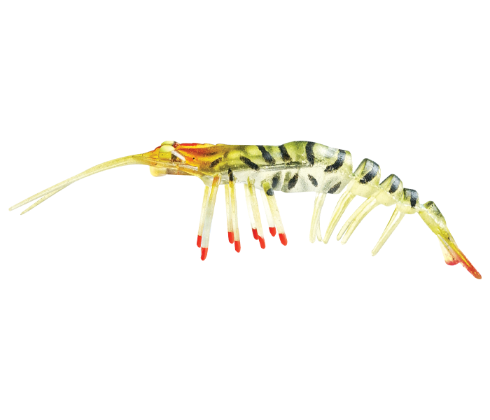 ZEREK LIVE SHRIMP HOT LEGS 3inch