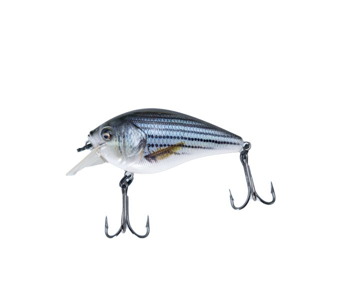 SURECATCH SUREBITE CHUBBY SHALLOW FLOATING 60mm