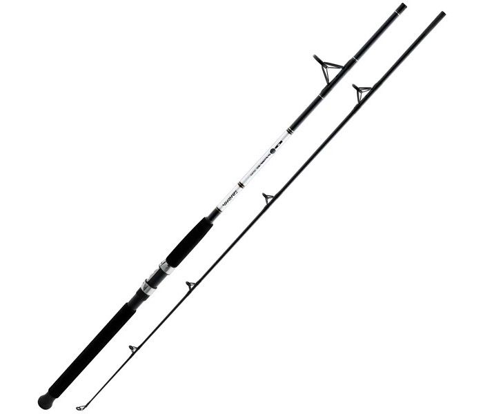 DAIWA D WAVE SPINNING