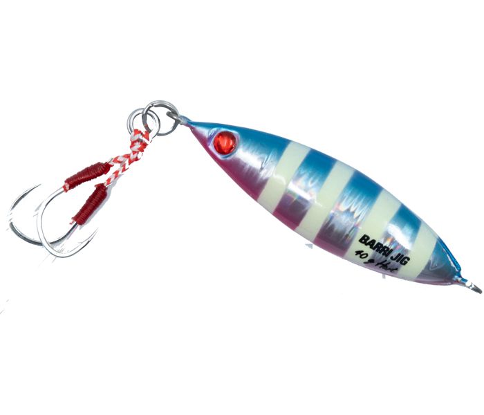 Hart Barri Jig 65 mm 40g