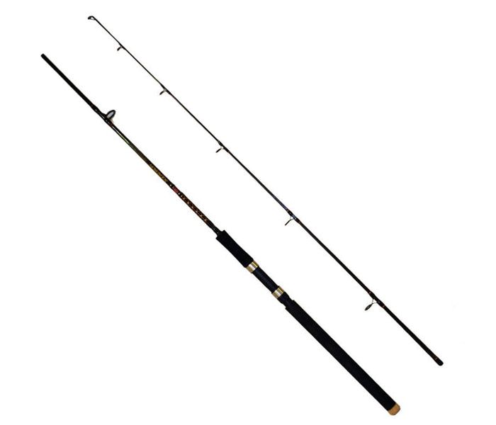 PENN SQUADRON SPINNING