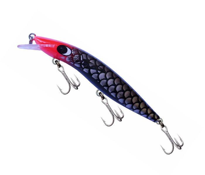 Gillies Classic 120 Barra +6