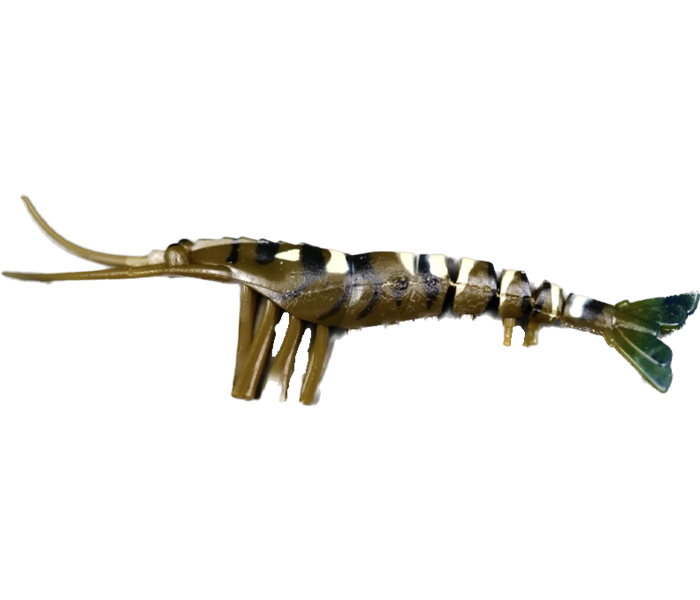 JHINGA  SHRIMP 100MM 7gm| 5Pkt