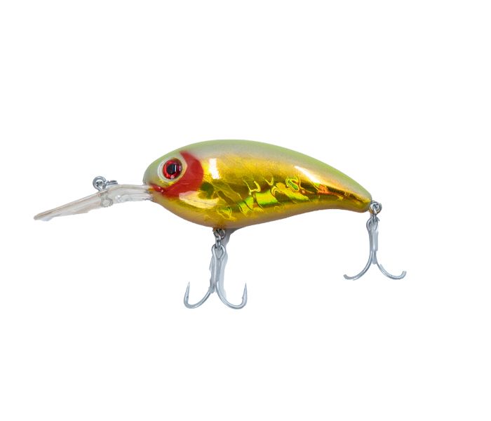 Thorn Twister Worm Keeper Softbait Hook Kit with Fishing Tackle Box  125-Pieces : Buy Online at Best Price in KSA - Souq is now :  Sporting Goods