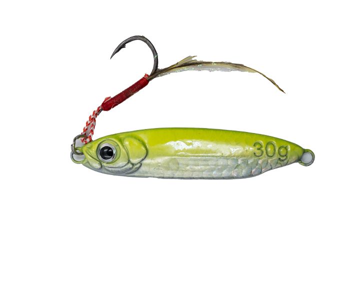 Gfin SHORE SHOOT Jigs 15g