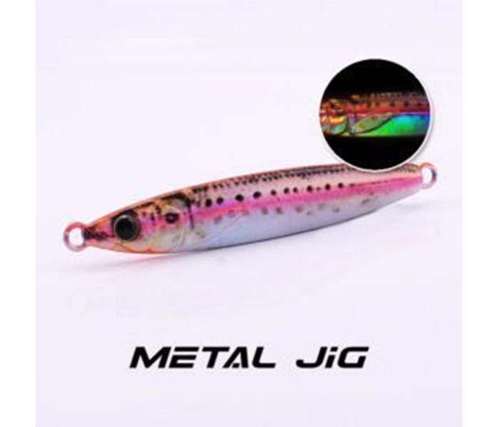 EUPRO SURE BAIT JIG 40G-SB68