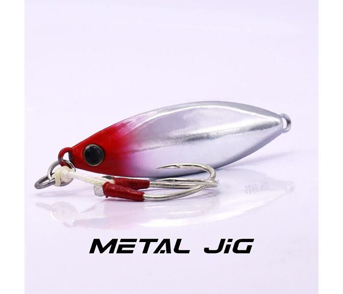 EUPRO SURE BAITS JIG 80G- SB59
