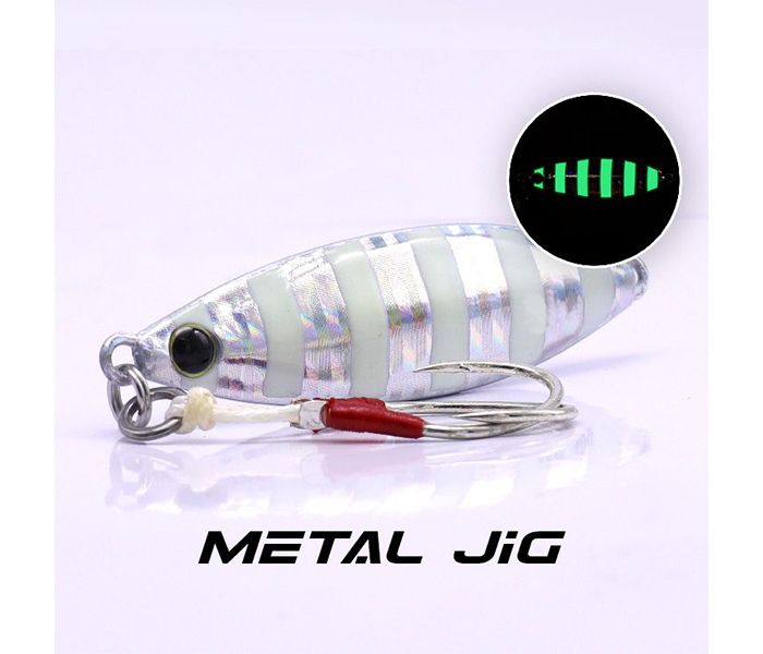 EUPRO SURE BAITS JIG 80G- SB59