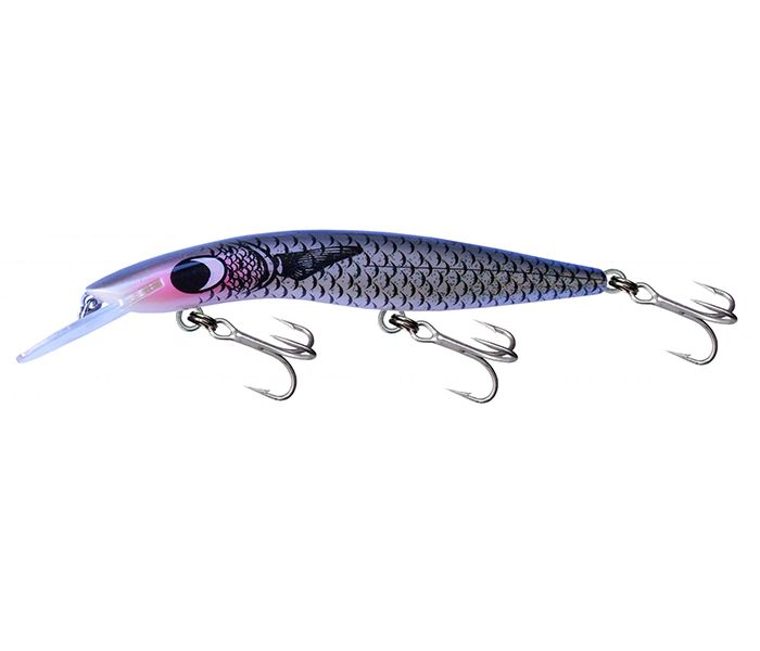Gillies Classic 120 Barra +6
