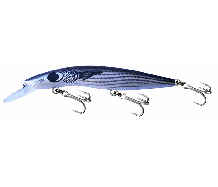 Gillies Classic 120 Barra +15